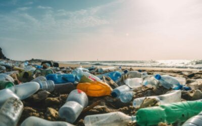 Die Stille Krise: Wie Plastikverschmutzung unsere Weltmeere bedroht